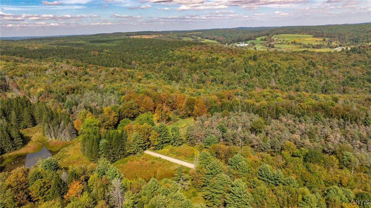 Property Photo:  346 Cueball Road  NY 13778 
