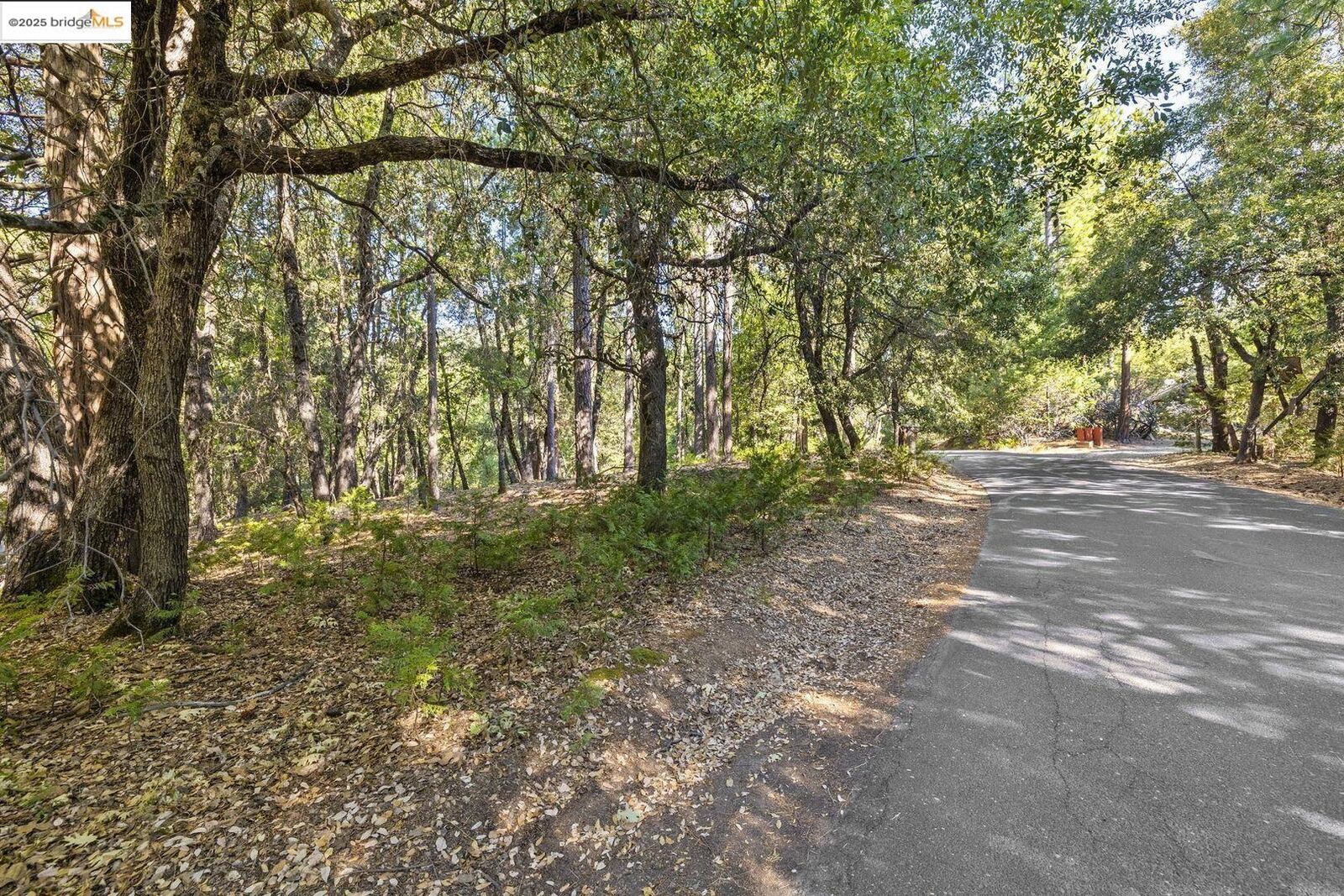 Property Photo:  23744 Mount Elizabeth Rd  CA 95383 
