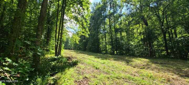 Property Photo:  Par 033.01 South Highway 32  TN 37722 