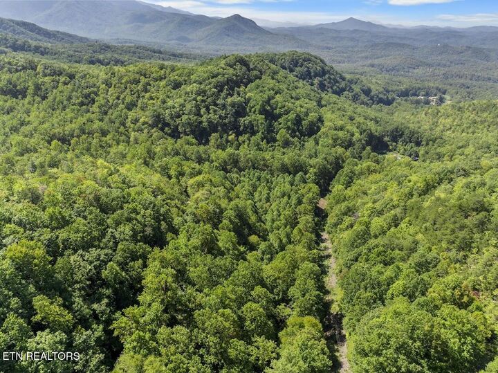 Property Photo: Par 033.01 South Highway 32 TN 37722