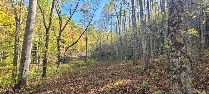 Property Photo: Par 033.01 South Highway 32 TN 37722