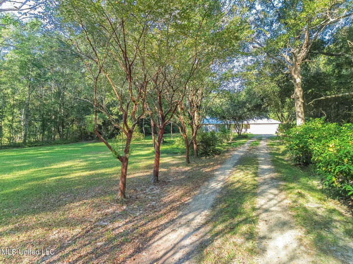 Property Photo: 15819 Peapatch Road MS 39532