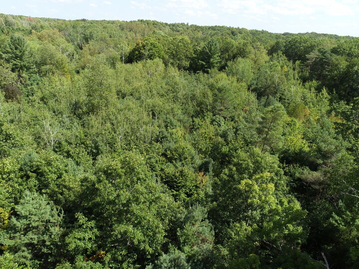 Property Photo:  00 N Hawkins Road  MI 49656 