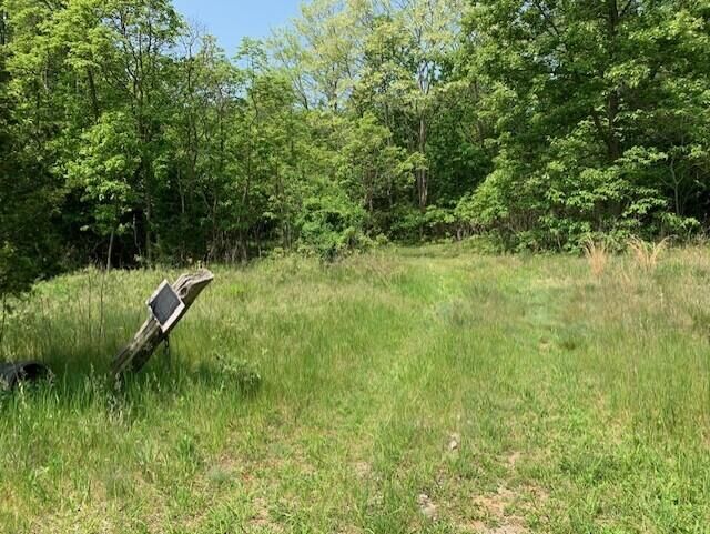 Property Photo:  0 65th Street  MI 49423 