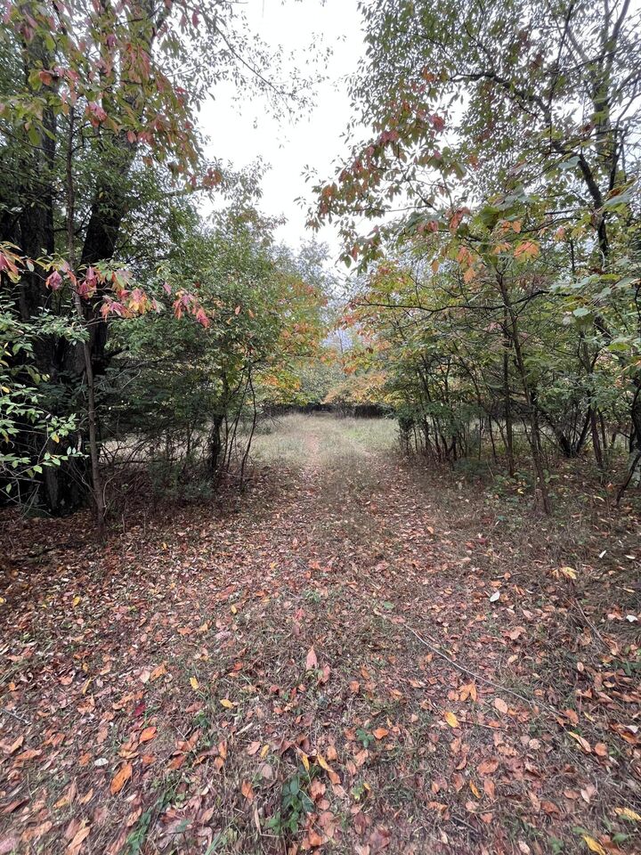 Property Photo:  0 65th Street  MI 49423 