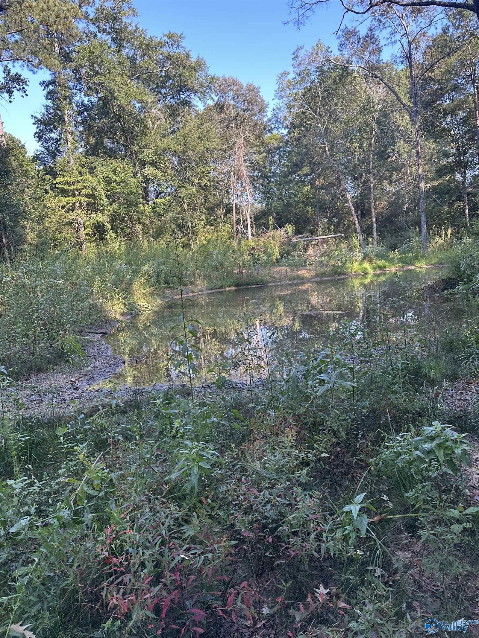 Property Photo:  135 N Maddox Road  AL 36272 