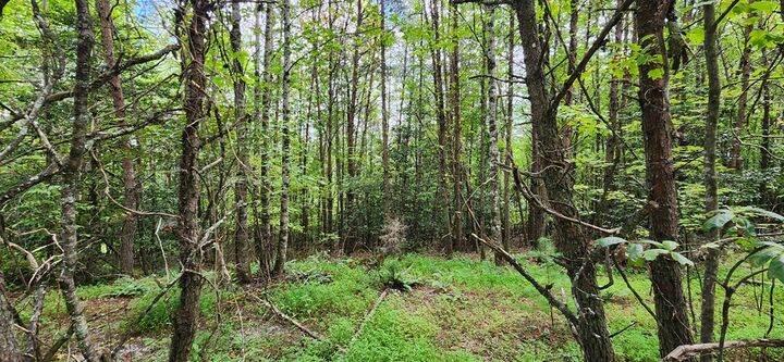 Property Photo: Lot 45 Old Mill Pond Road GA 30559