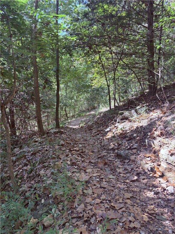 Property Photo:  Lot 41 Hawnby Lane  AR 72715 