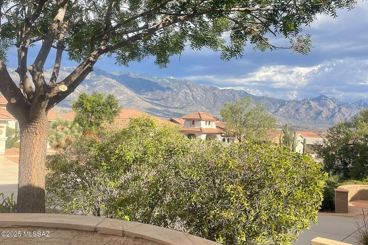 38996 S Moonwood Drive  Saddlebrooke AZ 85739 photo