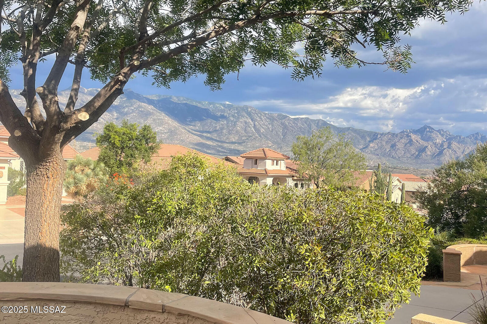 Property Photo: 38996 S Moonwood Drive AZ 85739