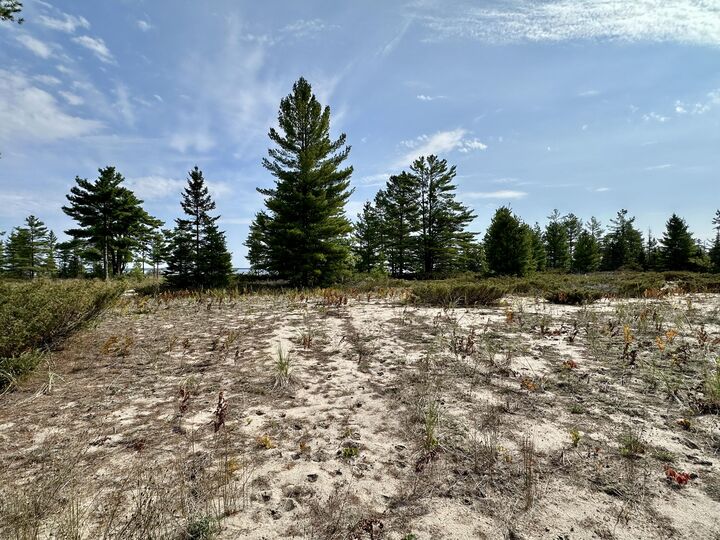 Property Photo:  3286 Edgewater Drive  MI 49721 