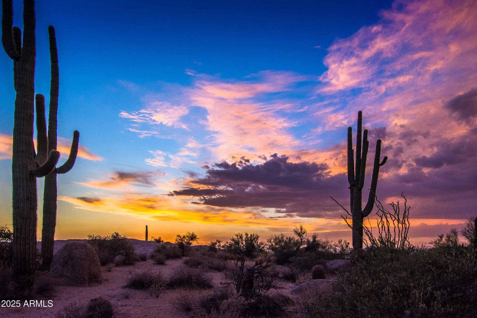 Property Photo:  27777 N 95th Street 1  AZ 85262 