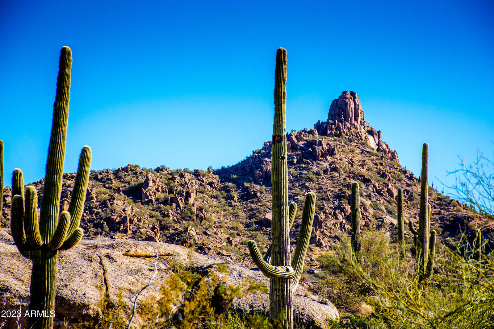 Property Photo:  27777 N 95th Street 1  AZ 85262 