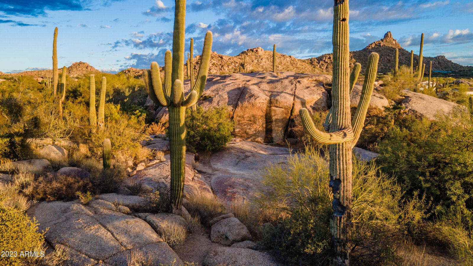 Property Photo:  27777 N 95th Street 1  AZ 85262 