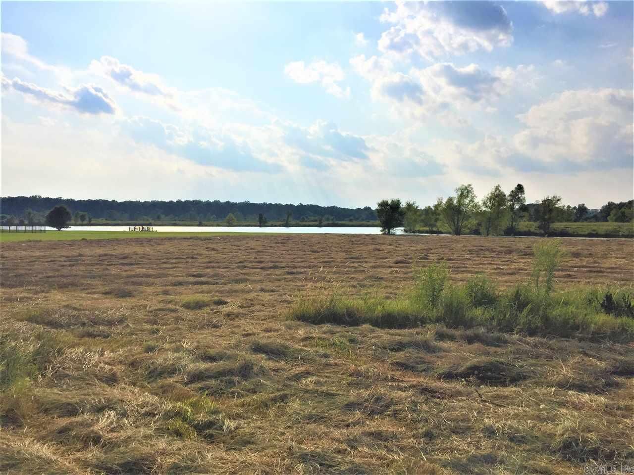 Property Photo: Lot 310 Mound View Drive AR 72046