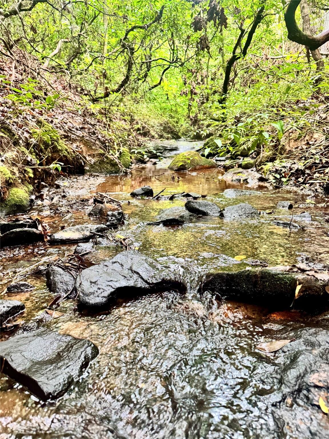 Property Photo: 0 Travelers Rest Lane NC 28139