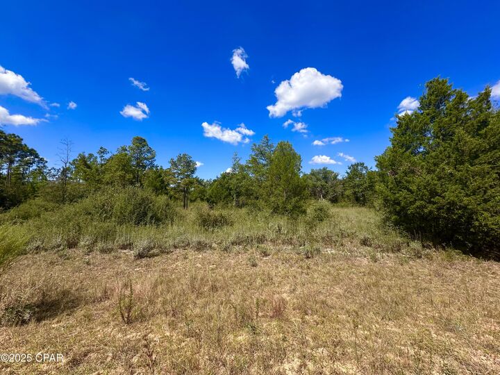 Lot 9 Marville Drive  Marianna FL 32448 photo