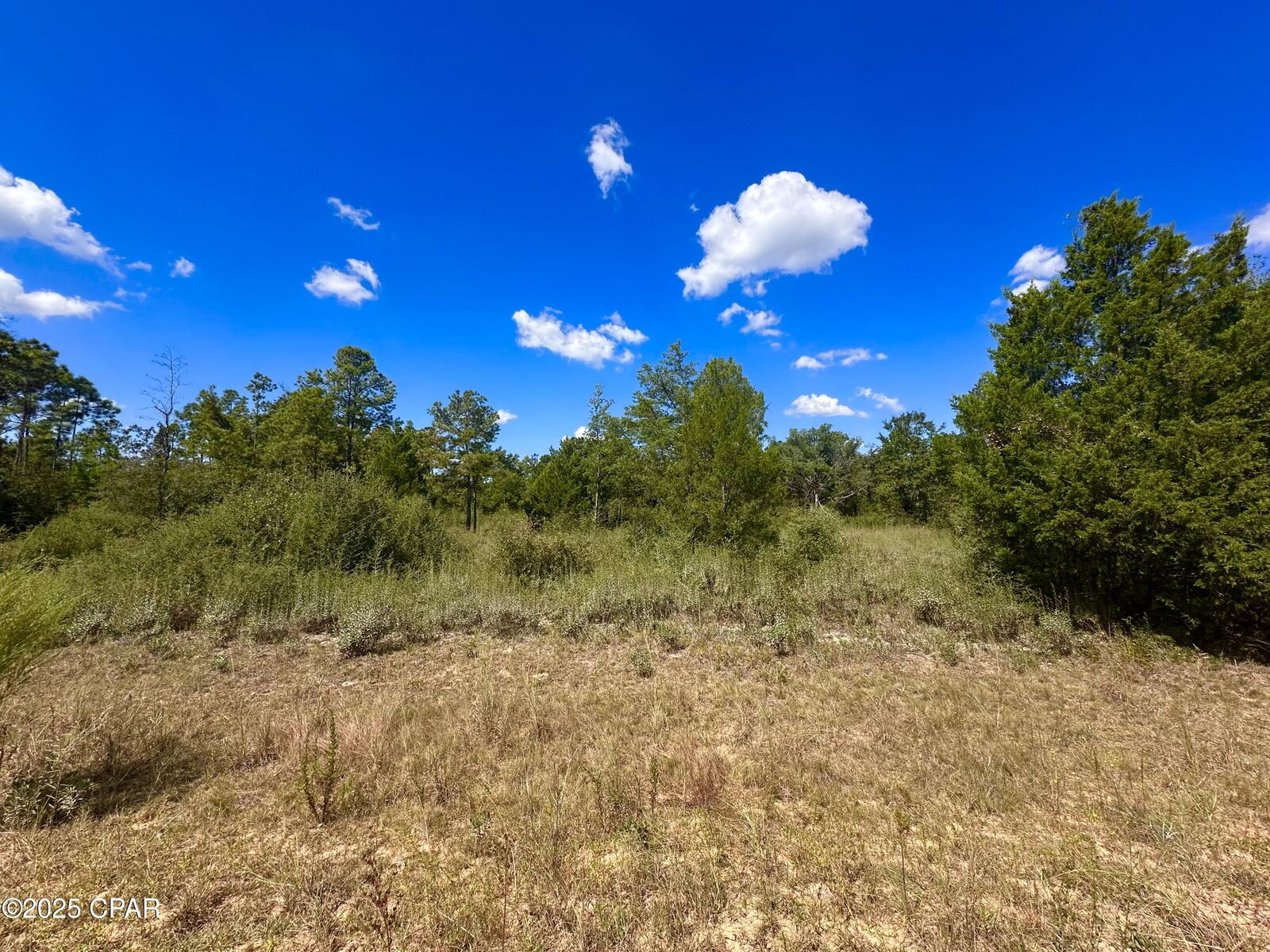 Property Photo:  Lot 9 Marville Drive  FL 32448 