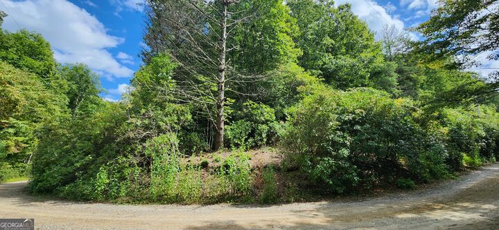 Lt 17 &Amp 18 Donna Lee Lane  Mineral Bluff GA 30559 photo