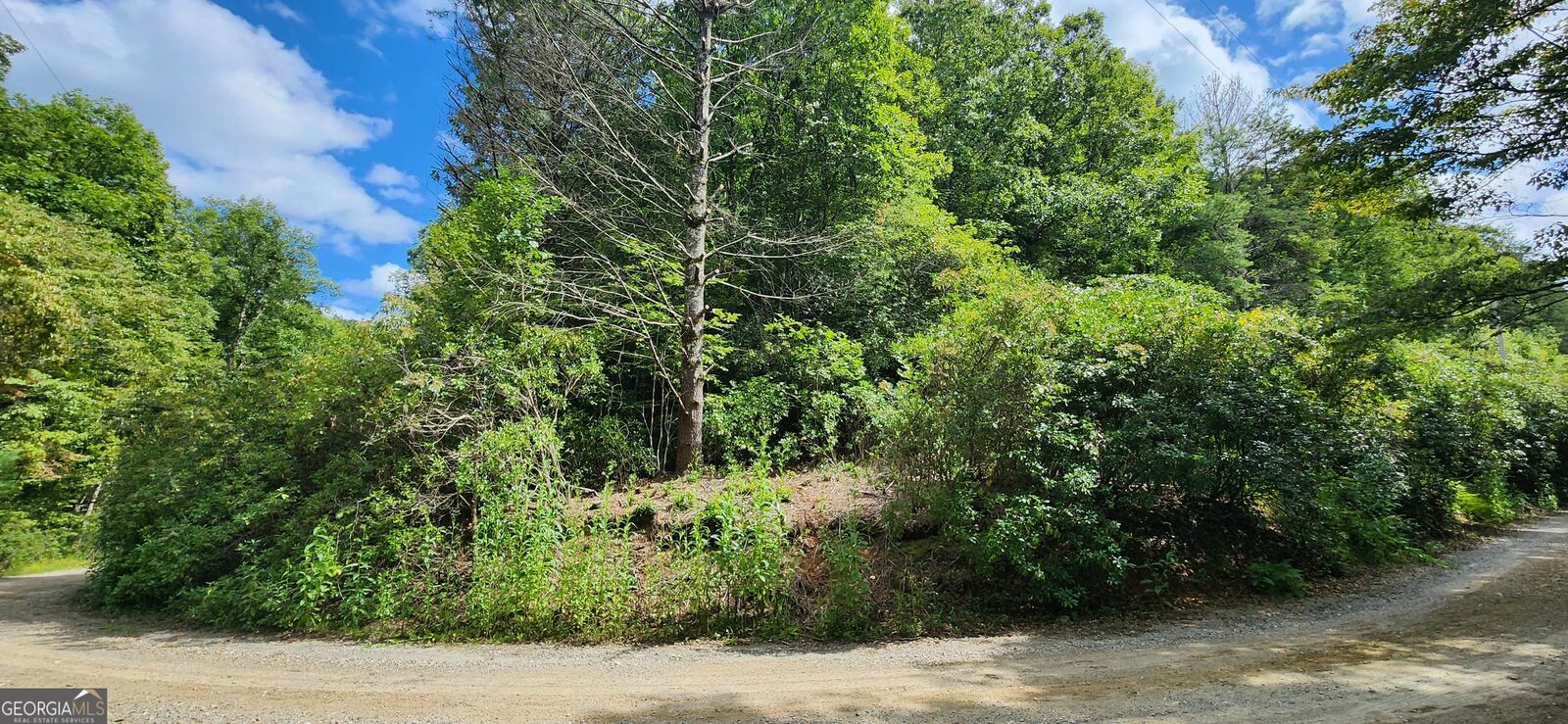 Property Photo:  Lt 17 &Amp 18 Donna Lee Lane  GA 30559 