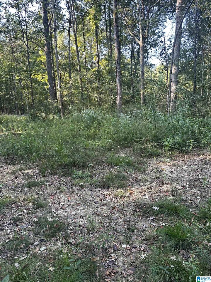 Property Photo: 135 Maddox Road X AL 36272