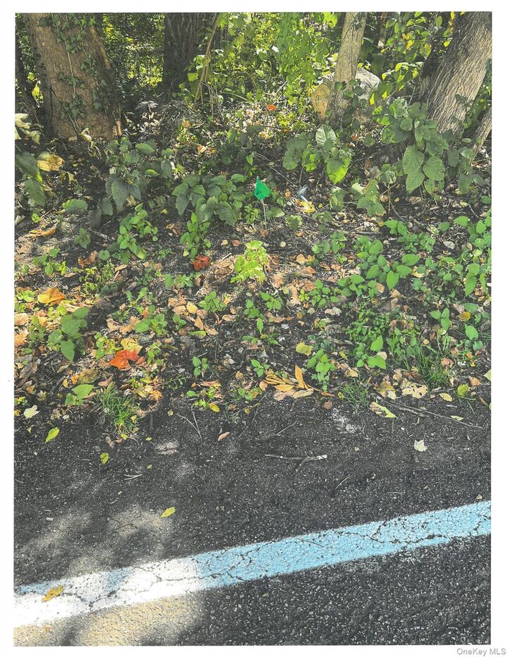 Property Photo: Lots 8, 9 &Amp 10 Dale Avenue NY 10567