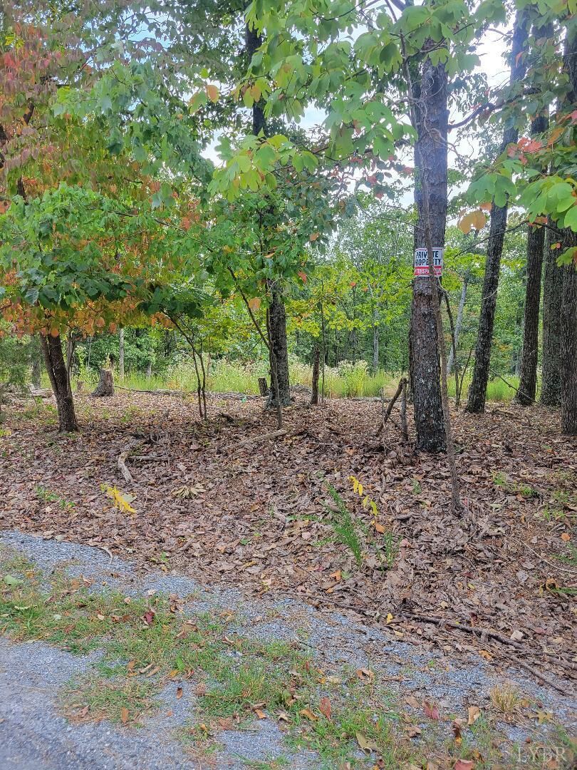 Property Photo:  5 Nighthawk Road  VA 24504 