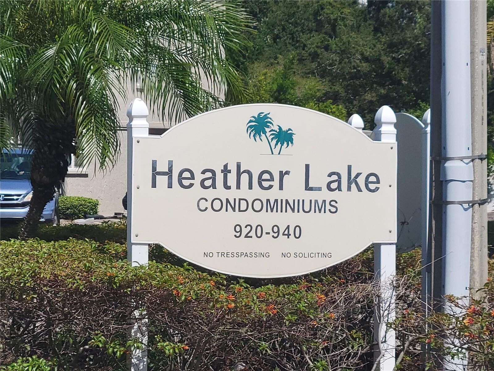 Property Photo:  930 Virginia Street 202  FL 34698 