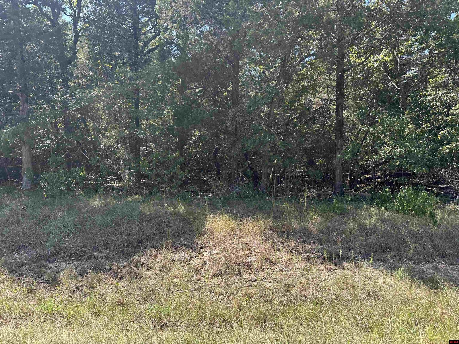 Property Photo:  11360 Hwy 125  AR 72668 