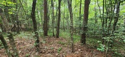 Property Photo:  Lot 36A Old Mill Pond Road  GA 30559 