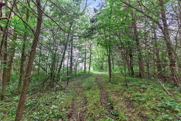 Property Photo:  3100 W 230th Street  MN 55352 