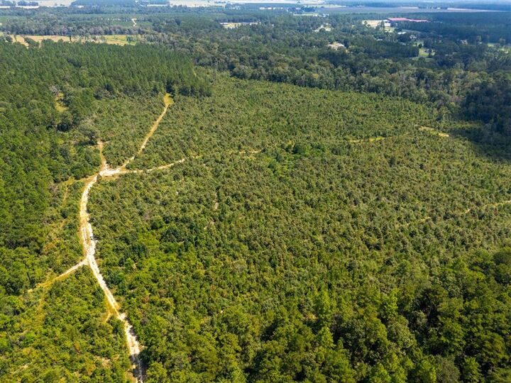 0 Paul McMillian Road  Deridder LA 70634 photo