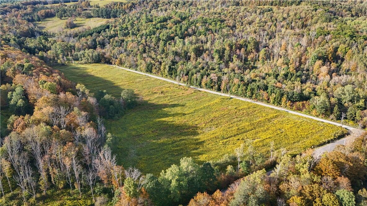 Property Photo:  Melnyk Road  NY 13743 