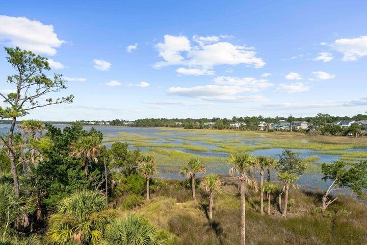 Property Photo:  2336 Bucktail Court  SC 29466 