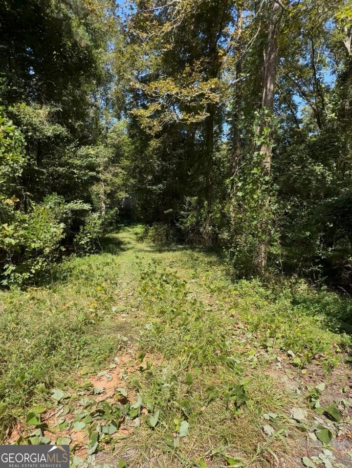 Property Photo: 404 Haggard Drive GA 30633