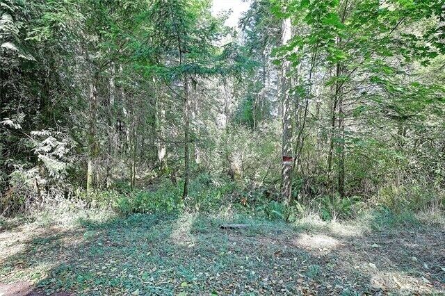 Property Photo:  0  Dodge Road  WA 98282 