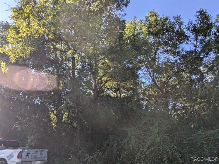 Property Photo:  3248 E Scofield Street  FL 34453 