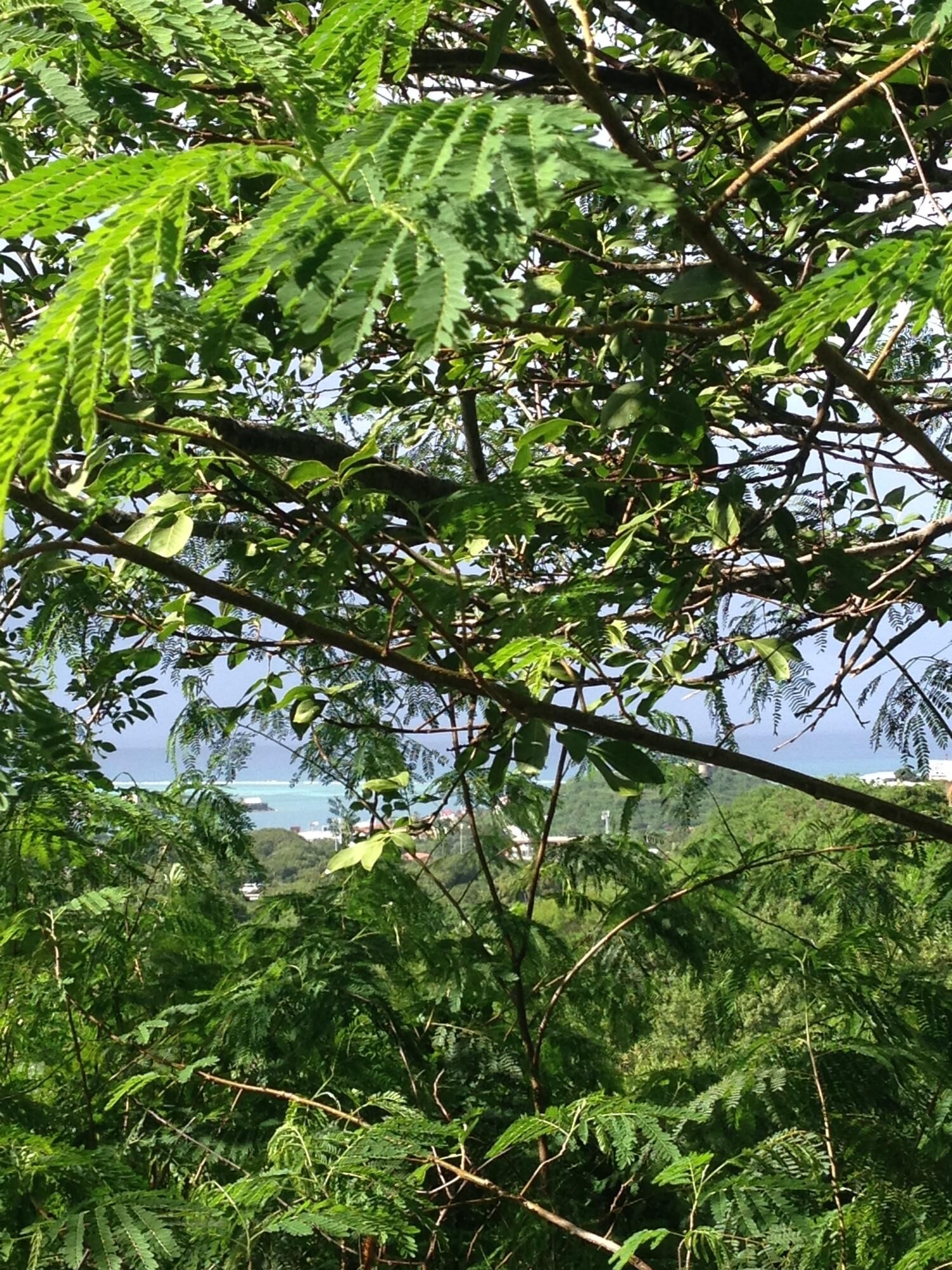 Property Photo:  3 Of 137 Mt. Welcome Ea  VI 00820