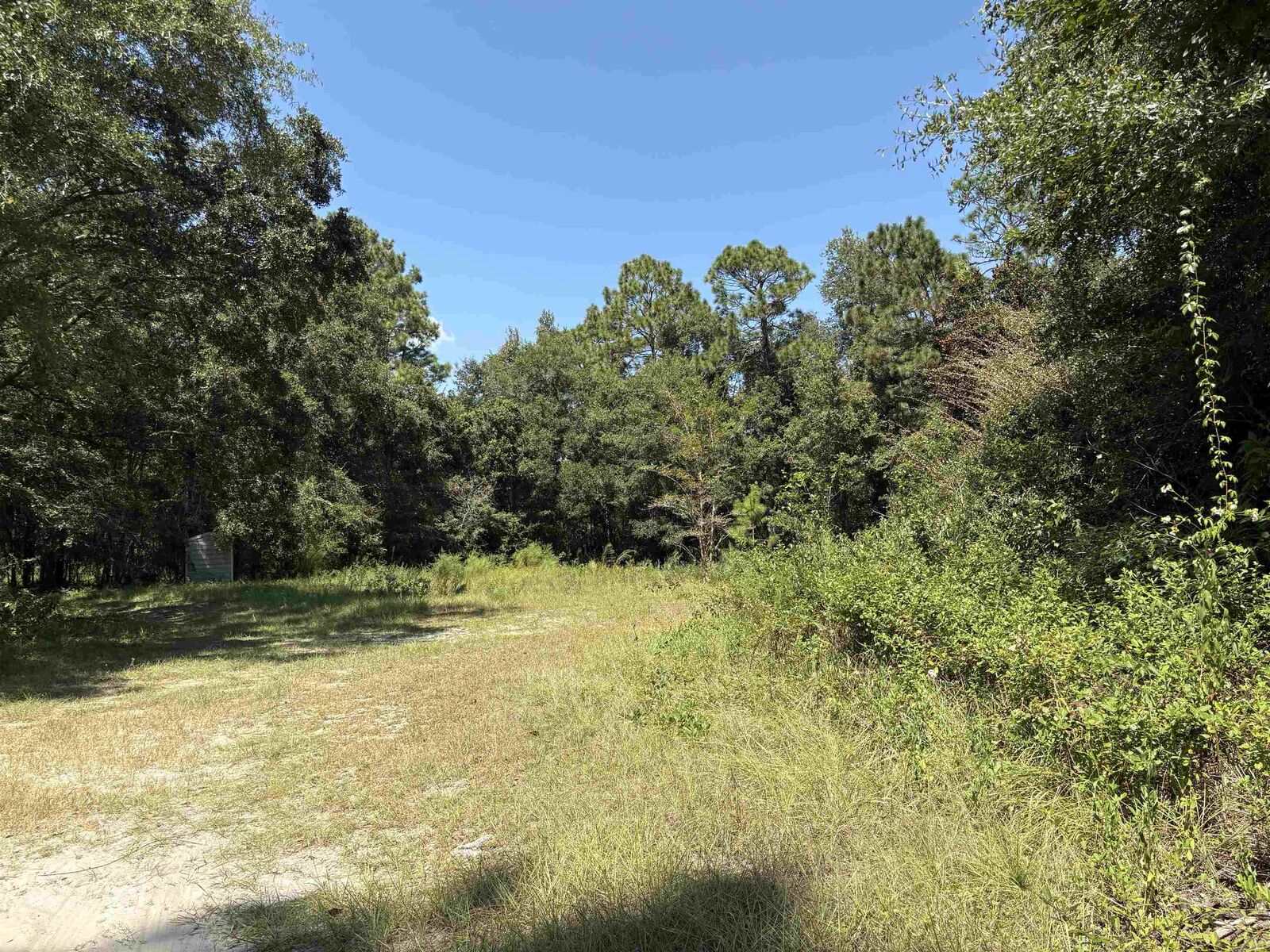 Property Photo:  2660 Blue Waters Court  FL 32305 