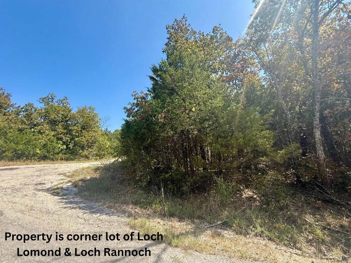 Property Photo:  Lots 234 &Amp 235 Loch Lomond  AR 72653 