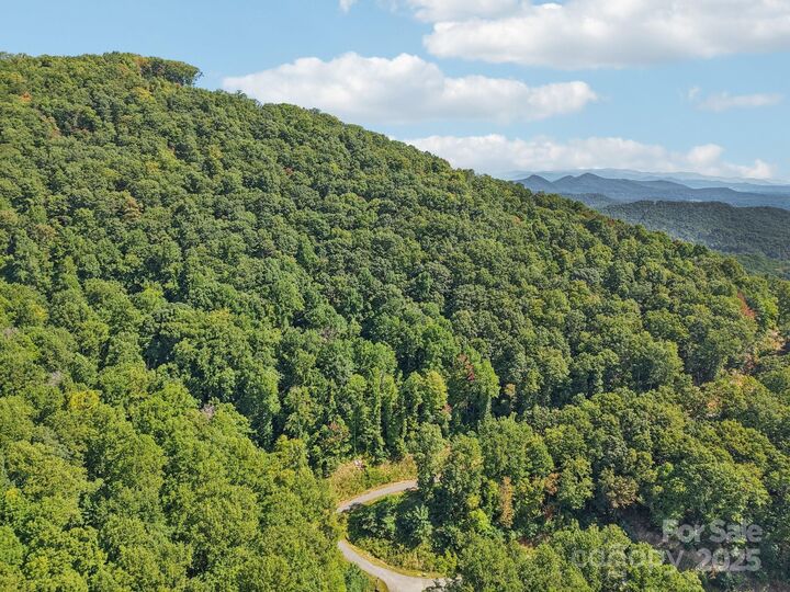 000 Biltmore View Drive 10  Candler NC 28715 photo