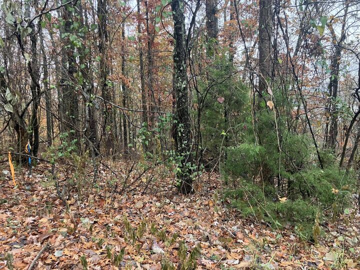 Property Photo: 4 Timber Ridge TN 37347