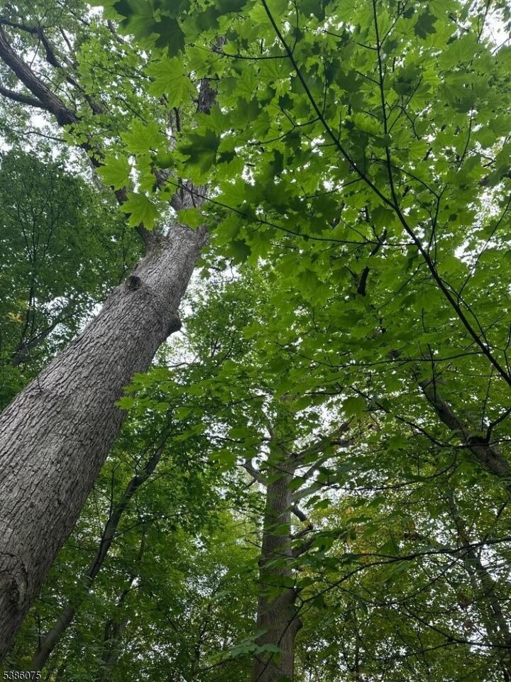 Property Photo: 86 Chestnut St NJ 07960