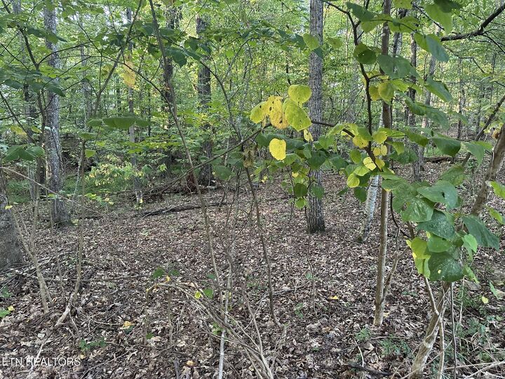 Property Photo:  174 Anglewood Drive  TN 38558 