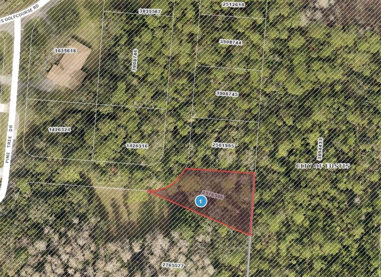 Property Photo:  Pine Tree Drive  FL 32726 