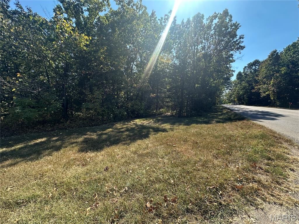 Property Photo: 0 N St. Francois Rd MO 63628
