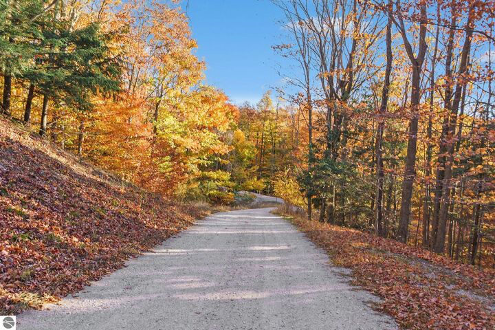 Property Photo:  0 Treetops Lane  MI 49635 