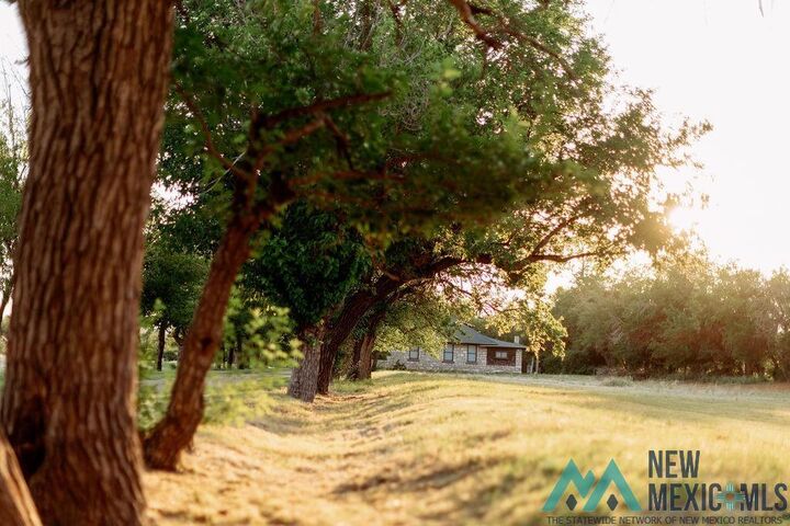 Property Photo:  1301 N Canal Street  NM 88220