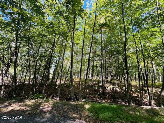 Property Photo:  Lot 425 Corner Squirrel &Amp Robin Lane  PA 18328 
