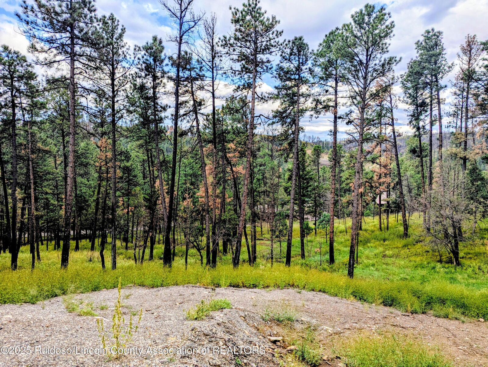 Property Photo:  142 Sunset Drive  NM 88312 